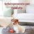 Agence de voyage avec chien agence voyage animaux travel planner pour chiens