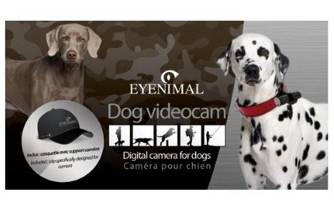 Caméra pour chien, Collier caméra chien, Casquette webcam