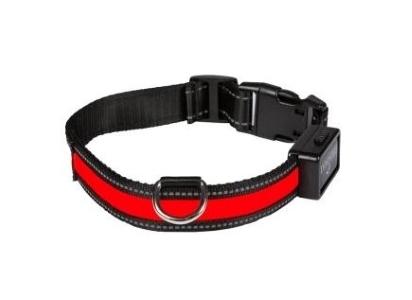 Collier chien lumineux 3 couleurs vente promo web prix pas cher 1