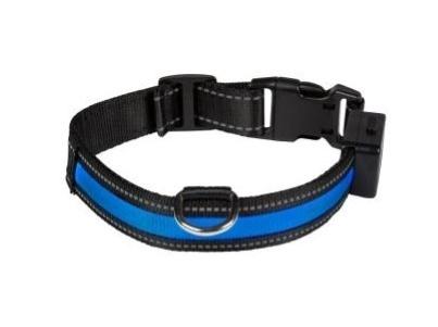 Collier chien lumineux 3 couleurs vente promo web prix pas cher