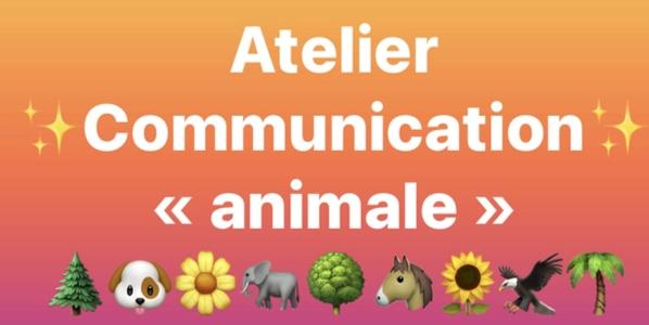 Communication animale angouleme communicant animalier cognac charente 16 3