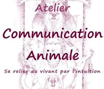 Communication animale angouleme communicant animalier cognac charente 16