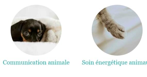 Communication animale auch communicatrice animaliere condom soins energetiques animaliers gers