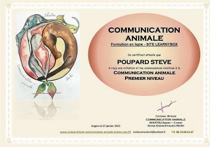 Communication animale nantes communication canine saint nazaire loire atlantique 44