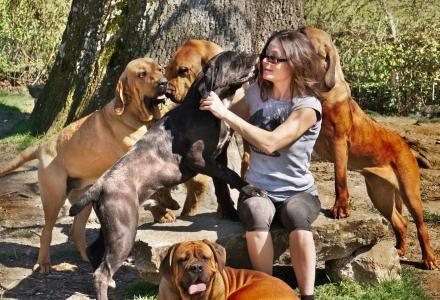 Communication animale pau soins energetiques animaliers orthez pyrenees atlantiques 64 1