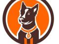 Educateur canin auch coach canin l isle jourdain education canine gers 32 