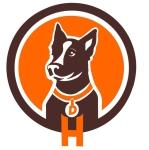 Educateur canin auch coach canin l isle jourdain education canine gers 32