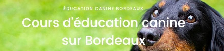 Educateur canin bordeaux education canine merignac comportementaliste canin gironde 33