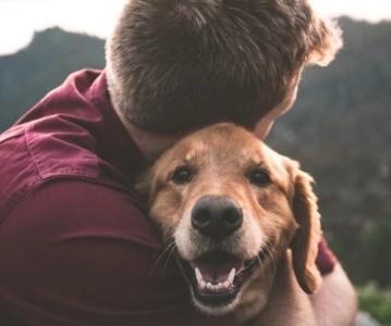 Educateur canin bordeaux education canine merignac comportementaliste canin gironde coach canin 33