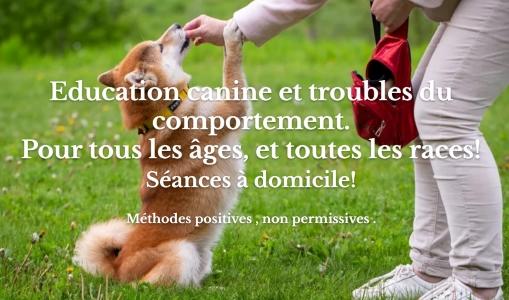 Educateur canin haguenau comportementaliste canin saverne ecole du chiot bas rhin education canine 67 1