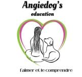 Educateur canin haguenau comportementaliste canin saverne ecole du chiot bas rhin education canine 67