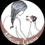 Educateur canin rennes coach canin ille et vilaine education canine 35 1