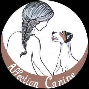 35 Education canine & Comportementaliste - Saint-Malo