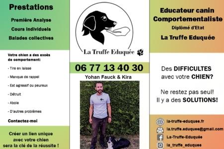 Educateur canin toulouse comportementaliste chien haute garonne educateur chiot 31 ecole du chiot blagnac 1