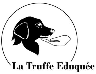 31 Education canine & Comportementaliste - Toulouse