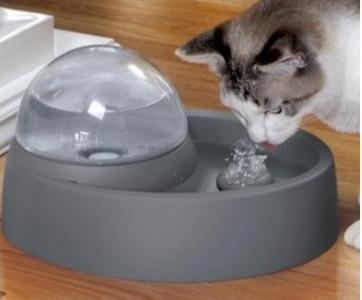 Fontaine a eau pour chat chien fontaine a eau pour animaux vente promo web prix pas cher