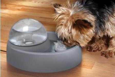 Fontaine a eau pour chat chien fontaine a eau pour animaux vente promo web prix pas cher