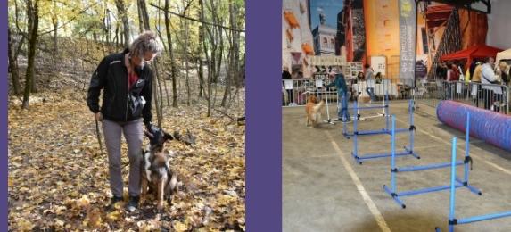 Formation education canine gap formation psychologie canine briancon formation comportementalisme canin hautes alpes 05 3