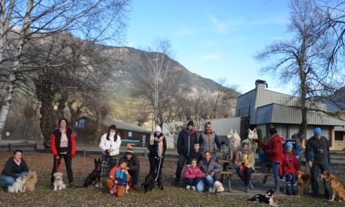 Formation education canine gap formation psychologie canine briancon formation comportementalisme canin hautes alpes