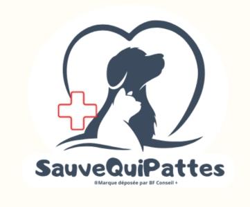 Formation premiers secours animaliers bordeaux formation premiers secours canin felin gironde 33 3