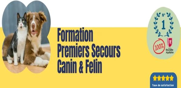 Formation premiers secours animaliers bordeaux formation premiers secours canin felin gironde 33