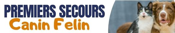 Formation premiers secours animaliers bordeaux formation premiers secours canin felin gironde 33