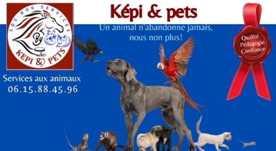 Garde de chien marseille garde de chat aubagne garde d animaux bouches du rhone pet sitter 13 2