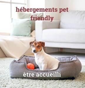 Hotel acceptant animaux ajaccio gite acceptant chien chat bonifacio corse du sud 2a 2