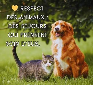 Hotel acceptant animaux ajaccio gite acceptant chien chat bonifacio corse du sud 2a 3