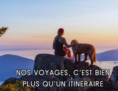 Hotel acceptant animaux ajaccio gite acceptant chien chat bonifacio corse du sud