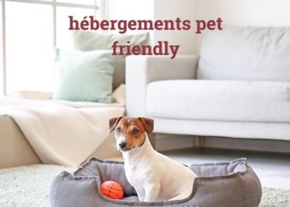 Hotel acceptant animaux hotel acceptant chien gite acceptant animaux gite acceptant chien chat