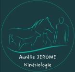 Kinesiologue animalier albi kinesiologie animale castres massage animaux tarn 81