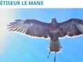 Magnetiseur animaux laval guerisseur animaux mayenne soins energetiques animaliers 53 