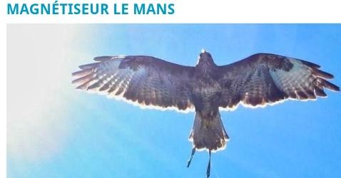 72 Animal Magnetizer & Animal Energy Care - Le Mans