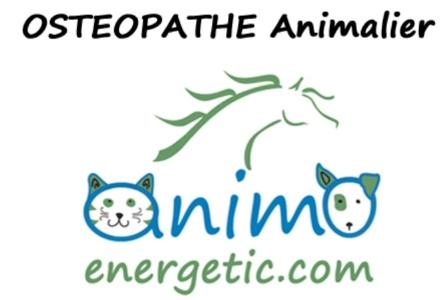 16 Animal Massage & Animal Shiatsu - Angoulême