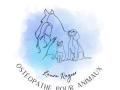 Osteopathe animalier angouleme osteopathie animale cognac osteopathe canin felin equin bovin 16