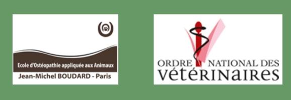 Osteopathe animalier angouleme osteopathie animale cognac osteopathe canin felin equin bovin charente 16 2