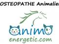 Osteopathe animalier angouleme osteopathie animale cognac osteopathe canin felin equin bovin charente 16