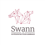 Osteopathe animalier evreux osteopathie animale vernon osteopathe canin felin equin bovin bernay eure 27