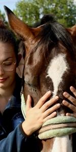 Osteopathe animalier la rochelle osteopathie animale saintes osteopathe canin felin equin bovin charentes maritimes 17 3