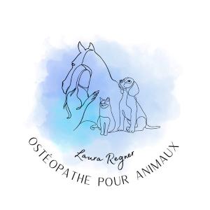 17 Animal Osteopath - La Rochelle Saintes Royan