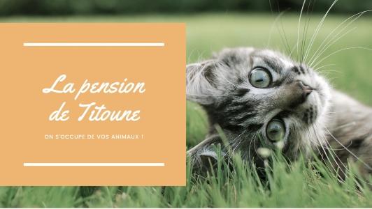 Pension canine montlucon pension feline moulins pension nac allier garde d animaux 4