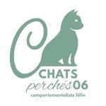 Pension feline cannes garde de chat mandelieu la napoule hotel pour chats alpes maritimes 06