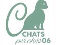 Pension feline nice garde de chat antibes hotel pour chats alpes maritimes 06 