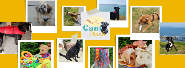 Pet sitter dinan garde de chien saint cast le guildo promeneur de chien cotes d armor 22