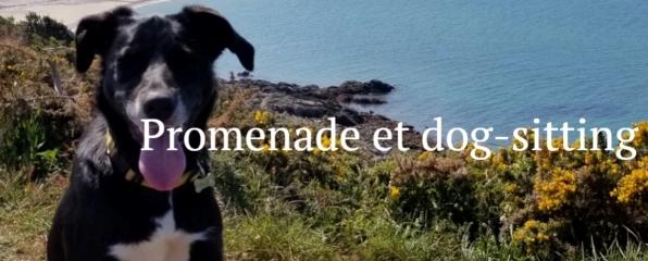 Pet sitter dinan garde de chien saint cast le guildo promeneur de chien cotes d armor 22