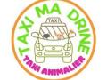 Taxi animalier aix en provence transport d animaux bouches du rhone 13