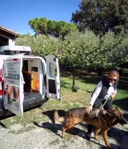 Taxi animalier avignon transport d animaux carpentras ambulancier animalier vaucluse 85