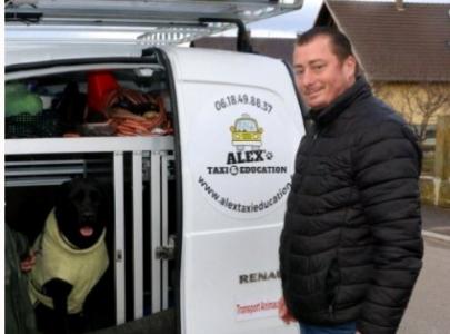 Taxi animalier colmar transport d animaux mulhouse taxi canin felin nac haut rhin 68 1