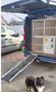 Taxi animalier evreux transport d animaux bernay eure 27